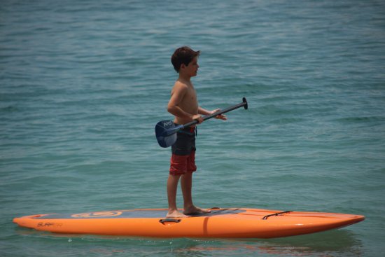PADEL SURF