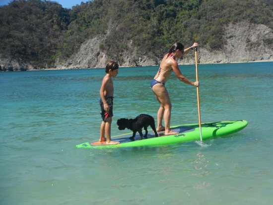 PADEL SURF